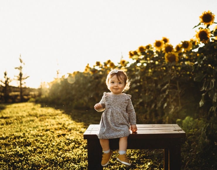 Cecilia – Edmonton Sunflower Session